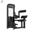 Titanium Strength Elite Series Dual Bauch und unterer Rücken – Schrägansicht mit Rückenrolle, Sitz und Gewichtsturm