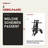 Frage und Antwort zu Titanium Strength Elite Series Seitheben Schulter Maschine: Welche Scheiben passen?