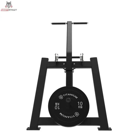 Titanium Strength Elite Series Trizepsstreckung und Dips im Stehen: Rückansicht mit Griff oben und Hantelscheibe am Rahmen