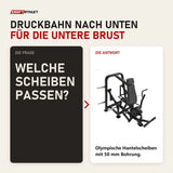 Frage und Antwort zu Titanium Strength Genesis Series IsoLateral Negativbank-Brustpresse: Welche Scheiben passen?
