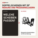 Frage und Antwort zu Titanium Strength Genesis Series Horizontale Beinpresse mit Scheibenbeladung: Welche Scheiben passen?
