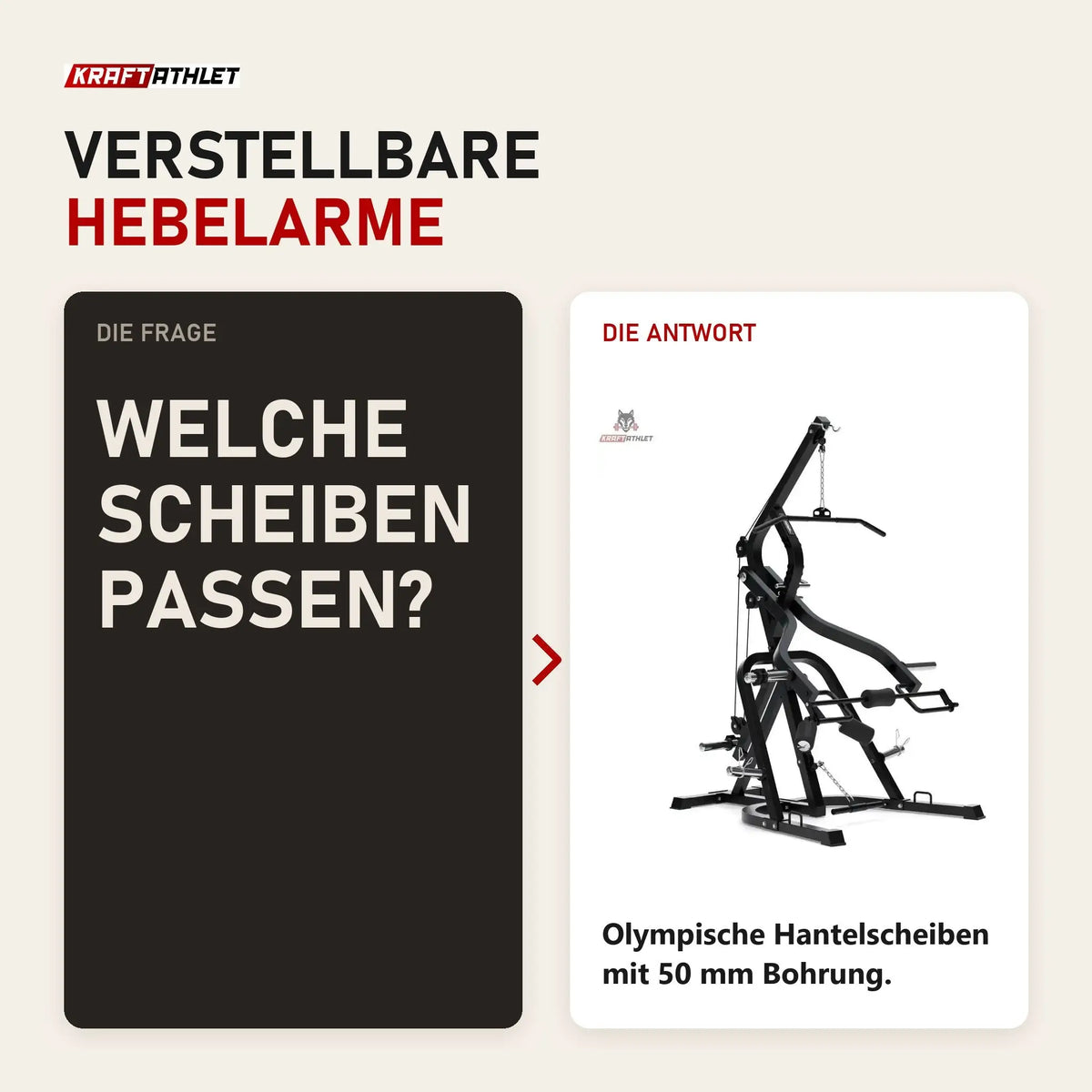 Frage und Antwort zu Titanium Strength LGS Multigym Doppelhebel + Seilzugtrainer: Welche Scheiben passen?