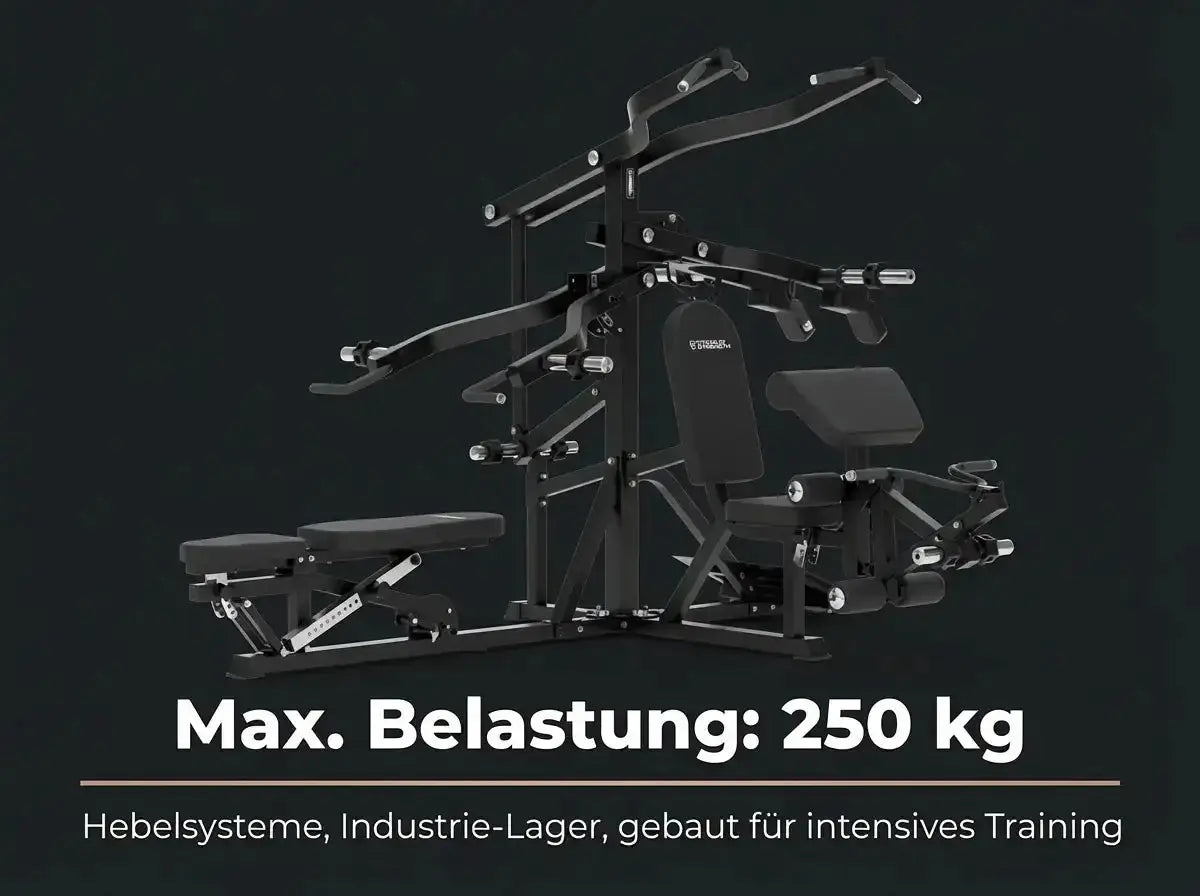 Titanium Strength Multigym Hebel LG3: Grafik zur maximalen Belastung von 250 kg