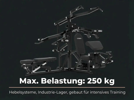 Titanium Strength Multigym Hebel LG3: Grafik zur maximalen Belastung von 250 kg