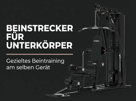 Titanium Strength Multigym MG3 als Infografik zum Beinstrecker für den Unterkörper