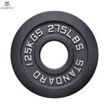 Titanium Strength Olympische Hantelscheiben Gusseisen 1,25–25 kg: einzelne 1,25-kg-Scheibe in Frontansicht