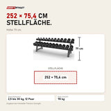 Maßbild Titanium Strength Pro-PU-Kurzhantelset 2,5–30 kg mit Rack: Stellfläche 252 × 75,4 cm, Höhe 79 cm
