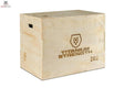 Titanium Strength PWX Plyometrische Box aus Holz in Schrägansicht mit eingebranntem Logo auf hellem Holz