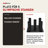 Frage und Antwort zu Titanium Strength Rack für 5 olympische Stangen vertikal: Welche Stangen passen hinein?