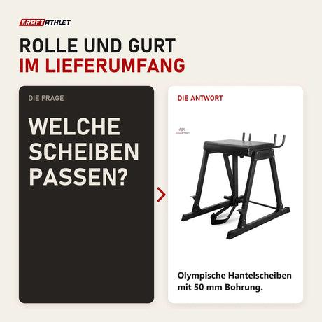 Frage und Antwort zu Titanium Strength Reverse Hyper Extension RH226: Welche Scheiben passen?