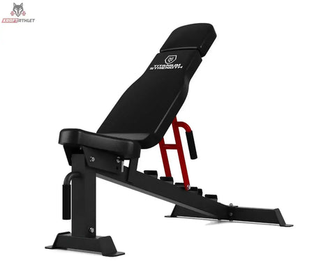 Titanium Strength RHD Evolution Heavy Duty FID Hantelbank, Seitenansicht mit aufgestellter Rückenlehne