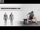 Titanium Strength RHD Evolution Heavy Duty FID Hantelbank, Übungsgrafik Konzentrations-Curl im Sitzen