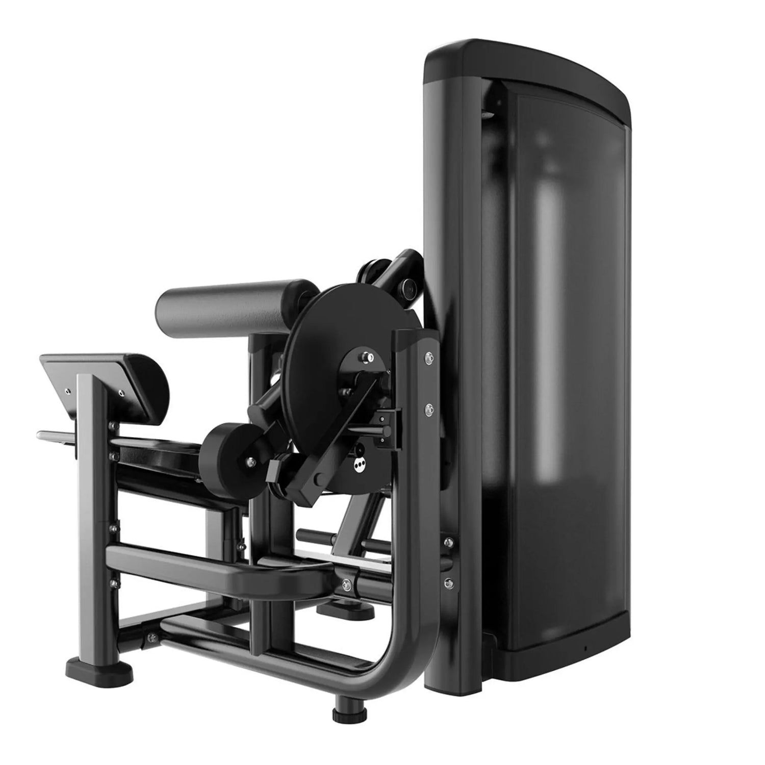 Titanium Strength Genesis Series Abdominal and Lower Back Machine Titanium Strength