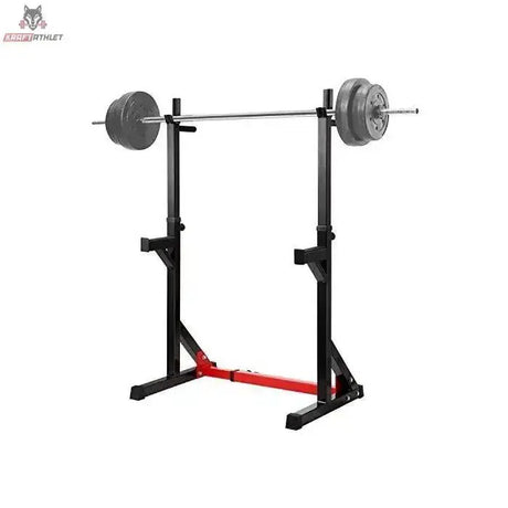 Titanium Strength Squat Rack / Dip Stand 270RS mit aufgelegter Langhantel und Hantelscheiben