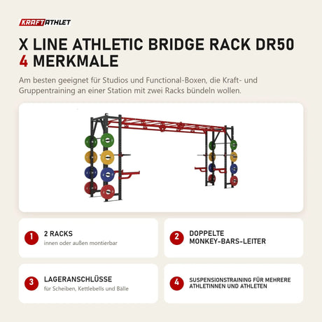 Titanium Strength X Line Athletic Bridge Rack DR50 mit 4 Merkmalen: 2 Racks, Doppelte Monkey-Bars-Leiter, Lageranschlüsse, Suspensionstraining für mehrere Athletinnen und Athleten